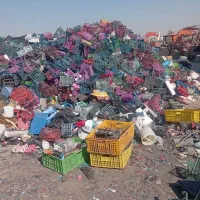 خرید ضایعات سبد و کارتن و لاک