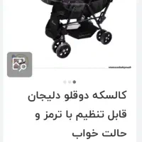کالسکه دوقلو دلیجان