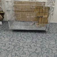 فروش قفس بزرگ
