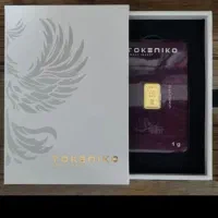 شمش 1گرمی تکنیکو|جواهرات|محمدشهر, عباس آباد|دیوار