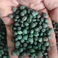 فروش بنه سبز شهرک گلستان