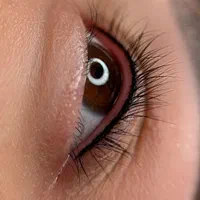 اموزش تتو میکروبلیدینگ فیبروزخط چشم شیدینگ (هدیه)|خدمات آموزشی|تهران, افسریه شمالی|دیوار