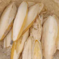 کف دریا
