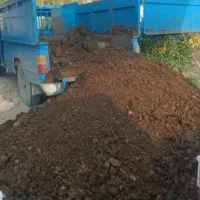 کود گاوی پوسیده، هرس ، کاشت گل و درخت