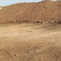 کود گاوی وگوسفندی