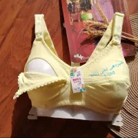 سوتین شیردهی|لباس|گلستان (تهران), |دیوار