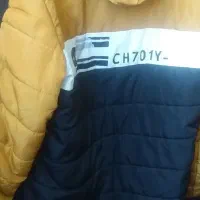 پسرانه کاپشن|لباس|گلبهار, شهر جدید گلبهار|دیوار