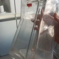 ۶ عددجاحبوباتی