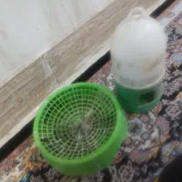 جاتخم و جالب کبوتر