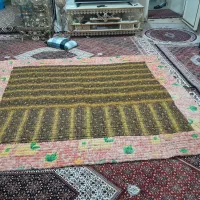 لحاف نو یک عدد