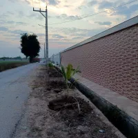 فروش زمین باغچه در مجموعه کوچه باغ|فروش خانه و ویلا|دزفول, |دیوار