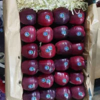 نیرو میوه چین