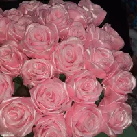 گل ربانی|گل مصنوعی|ماهدشت, |دیوار