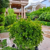 کاخ-ویلاکلاسیک-فوری-700مترزمین-وان-جکوزی-استخر