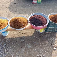 کشمش پلویی پاک کرده