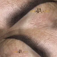 آموزش تخصصی میکروپیگمنتیشن
