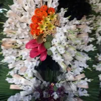 تاج گل ترحیم وافتتاحیه از ۱۴۰۰۰۰۰الی...