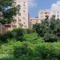فروش-زمین-200-متری-به-قیمت-کاسبی