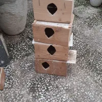 تعداد لانه عروس و قفس به همراه آب خوری