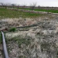 ۱۵۰۰مترزمین   ۳۰دقیقه اب|فروش زمین و ملک کلنگی|قره پشتلو, |دیوار