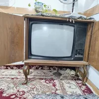 تلویزیون