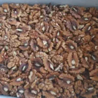 مغز گردو خورشتی درجه ۱
