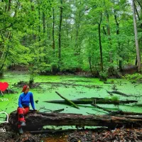 تور  مرداب  وربن  جاده چالوس کمپ  یه روزه