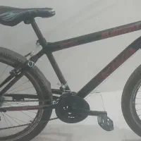 دوچرخه سایز ۲۴ ویوا