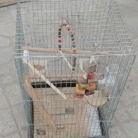 قفس طوطی ،قفس پرنده، اکواریوم