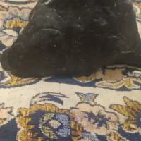 شهاب سنگ