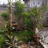 180متر-ویلا