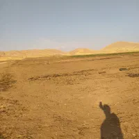 اجاره 14هکتار زمین کشاورزی سیستمی برای چغندرگندم|اجارهٔ دفتر صنعتی، کشاورزی، تجاری|سرپل ذهاب, |دیوار