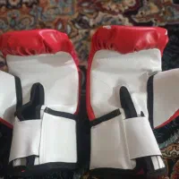 دستکش بوکس|تجهیزات ورزشی|نورآباد ممسنی, |دیوار