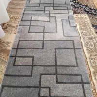 پالاز موکت|موکت|تاکستان, |دیوار