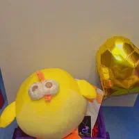 جعبه کادو پرطرفدار جوجه