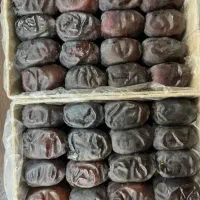 خرما مضافتی تازه