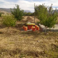 باغ در سراب ایوان|فروش زمین و ملک کلنگی|ایوان, |دیوار