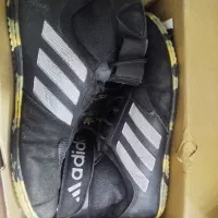 کفش کشتی سایز 43 و 42