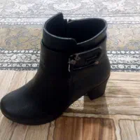 نیم بوت|کیف، کفش، کمربند|کرمان, |دیوار