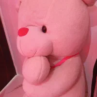 شاسخین سفید بزرگ