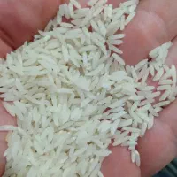 برنج هاشمی درجه یک