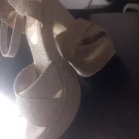 مجلسی|کیف، کفش، کمربند|سلماس, |دیوار