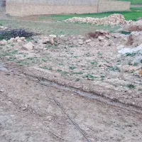 زمین-185متری