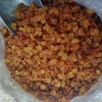 کشمش زرد امسالی  با شیره انگور محصول قوچان|خوردنی و آشامیدنی|مشهد, شهرک امام هادی (شهرک غرب)|دیوار