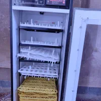 دستگاه جوجه کشی