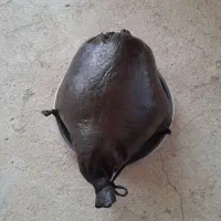 هیزه|حیوانات مزرعه|قم, مهدی آباد|دیوار