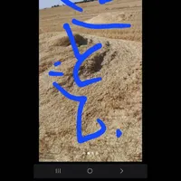 کاه گندم و جو|لوازم جانبی حیوانات|کوهدشت, |دیوار