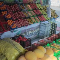 گوجه  ربی گوجه شیراز|عمدهفروشی|بیرجند, |دیوار