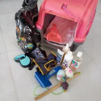 مقداری وسایل نگهداری گربه
