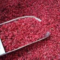 زرشک درجه یک قائنات تازه و دست چین